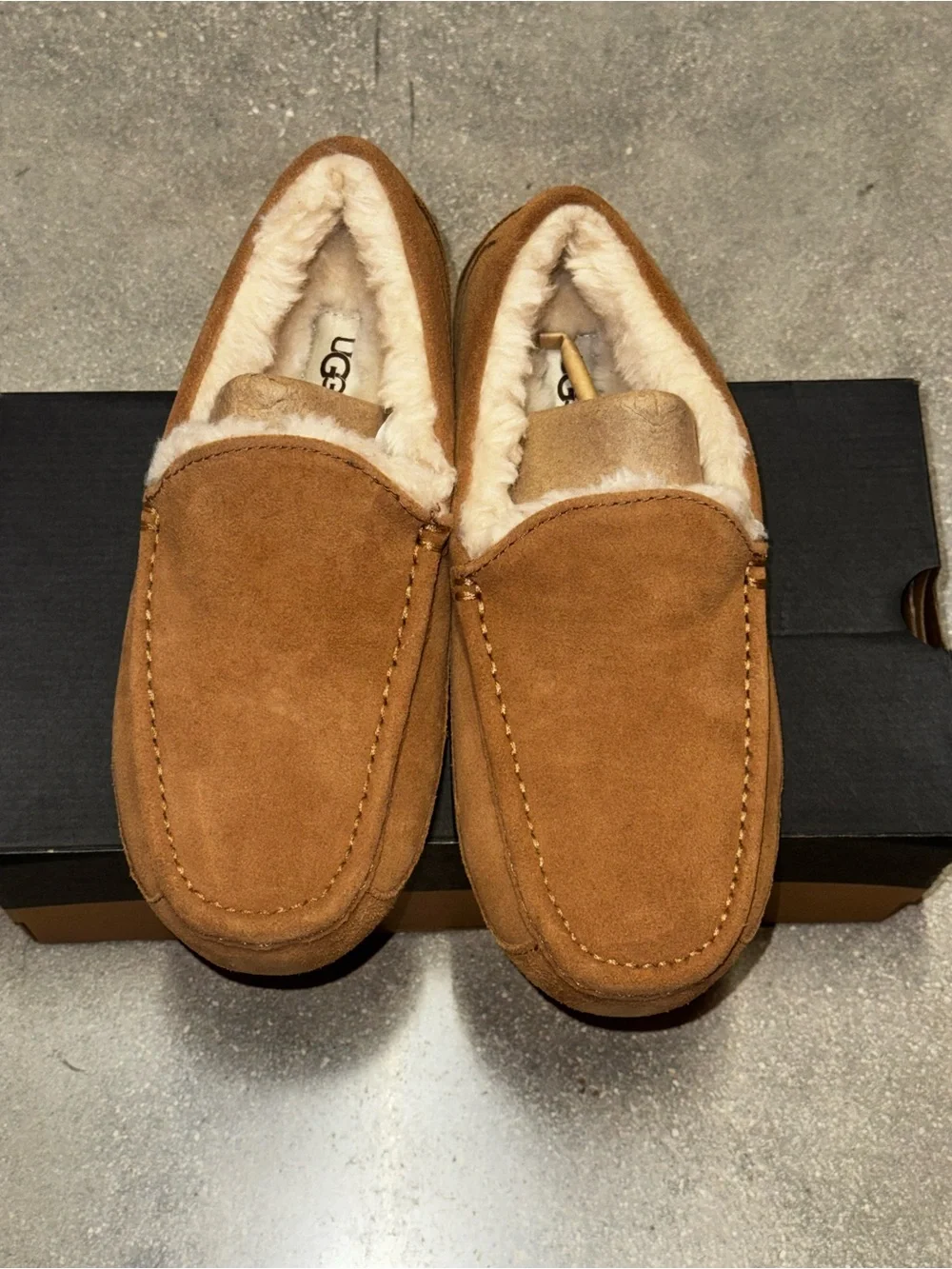 UGG Mens Ascot Slipper | Chestnut | 1101110-CHE | Authentic New - Size 7